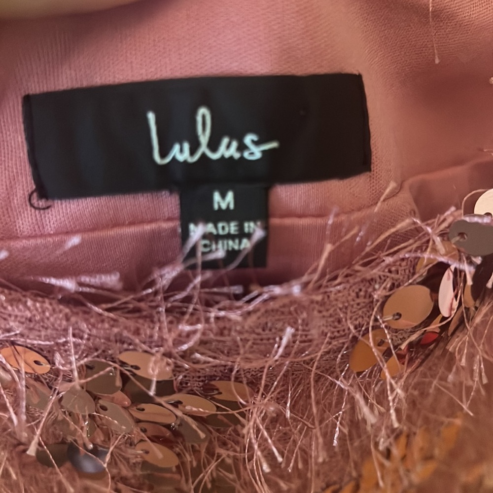 Lulus Sequin Fringe Mini Skirt Great For Ts The E… - image 4